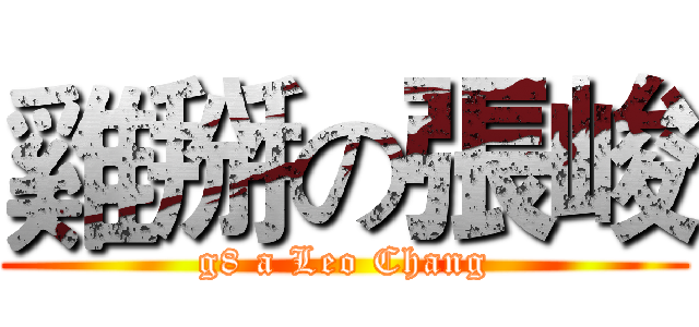 雞掰の張峻 (g8 a Leo Chang)