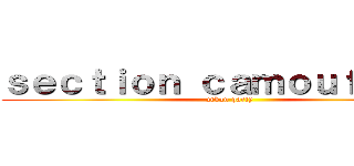 ｓｅｃｔｉｏｎ ｃａｍｏｕｆｌａｇｅ (urban party)