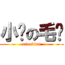 小编の毛线 (xiaobian)