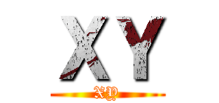 ＸＹ (XY)