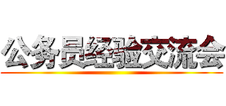 公务员经验交流会 ()