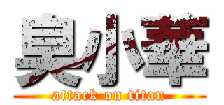 臭小華 (attack on titan)