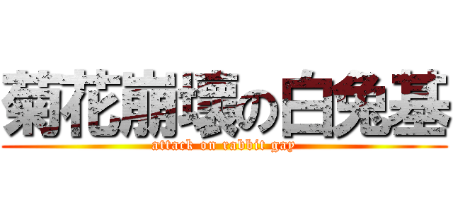 菊花崩壞の白兔基 (attack on rabbit gay)