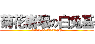 菊花崩壞の白兔基 (attack on rabbit gay)