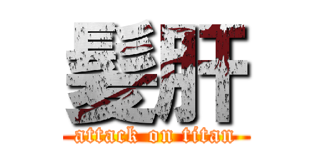 髪肝 (attack on titan)