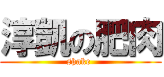 淳凱の肥肉 (shake )