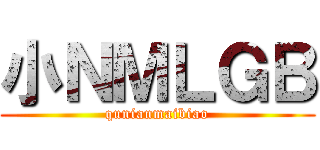 小ＮＭＬＧＢ (qunianmaibiao)