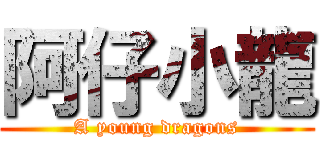 阿仔小龍 (A young dragons)