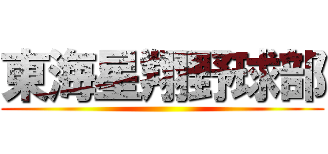 東海星翔野球部 ()