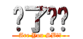 傻了吧你 (Are You SB??)