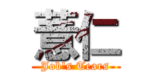 薏仁 (Job's Tears)