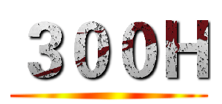 ３００Ｈ ()