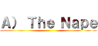 Ａ） Ｔｈｅ Ｎａｐｅ ()