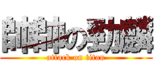 帥帥の勁麟 (attack on titan)