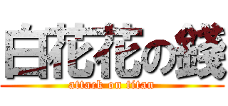 白花花の錢 (attack on titan)