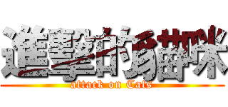 進擊的貓咪 (attack on Cats)