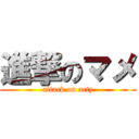 進撃のマメ (attack on acty)