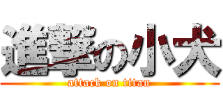 進撃の小犬 (attack on titan)