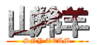 山羚羊 (SNY TEAM)