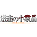 进击の小袁晶 (attack on titan)