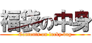 福袋の中身 (Contents on lucky bag)