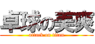 卓球の美爽 (attack on titan)