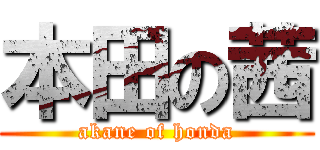 本田の茜 (akane of honda)