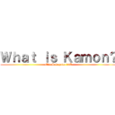 Ｗｈａｔ ｉｓ Ｋａｍｏｎ？ (Miu Sukegawa 10A)