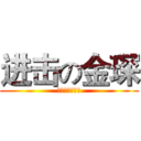 进击の金琛 (金琛在此，呵呵)