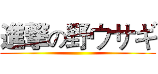 進撃の野ウサギ ()
