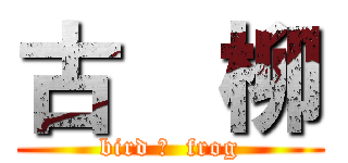 古  柳 (bird ＆  frog)