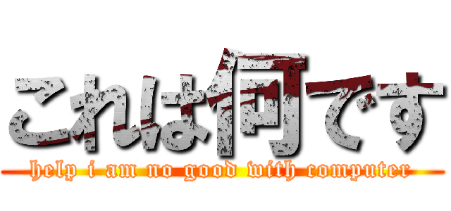 これは何です (help i am no good with computer)