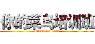 你的菜鸟培训班 (attack on titan)