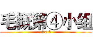 毛概第④小组 (No.4)