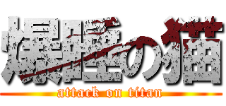 爆睡の猫 (attack on titan)