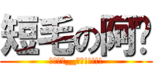 短毛の阿强 (终极进击__失败!!!!!)