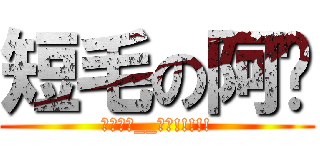 短毛の阿强 (终极进击__失败!!!!!)