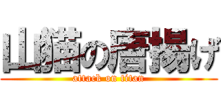 山猫の唐揚げ (attack on titan)