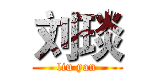 刘琰 (liu yan)
