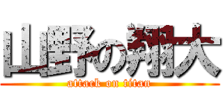 山野の翔大 (attack on titan)