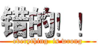 错的！！ (everything  is wrong)