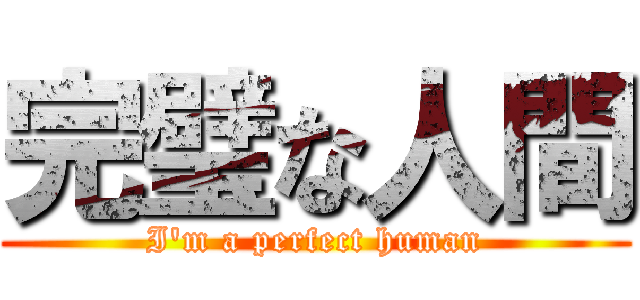 完璧な人間 (I'm a perfect human)