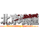 北京喰種 (  Unravelling the world)
