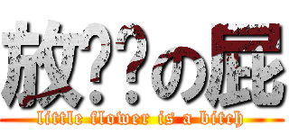 放你妈の屁 (little flower is a bitch)