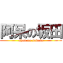 阿呆の坂田 (ahou no sakata)