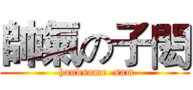 帥氣の子閎 ( handsome  sam)