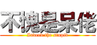 不愧是呆佬 (Indeed the stupid)