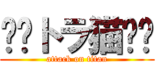 ♢﻿トラ猫♢﻿ (attack on titan)
