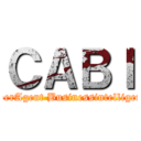 ＣＡＢＩ (CyberAgent Businessintelligence)