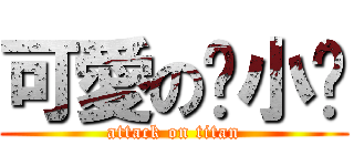 可愛の妮小璐 (attack on titan)